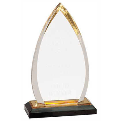 Picture of 8 3/4" Gold Oval Impress Acrylic