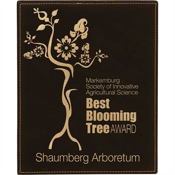 Picture of 10 1/2" x 13" Black/Gold Laserable Leatherette Plaque