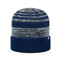 Picture of Adult Echo Knit Cap