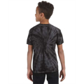Picture of Youth 5.4 oz. 100% Cotton Spider T-Shirt