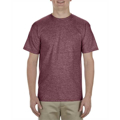 Picture of Adult 5.5 oz., 100% Soft Spun Cotton T-Shirt