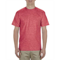 Picture of Adult 5.5 oz., 100% Soft Spun Cotton T-Shirt