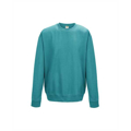 Picture of Adult 80/20 Midweight College Crewneck Sweatshirt