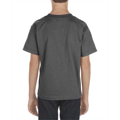 Picture of Youth 6.0 oz., 100% Cotton T-Shirt