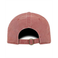 Picture of Adult Park Cap