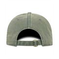 Picture of Adult Park Cap