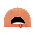 Picture of Adult Park Cap