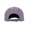 Picture of Adult Park Cap