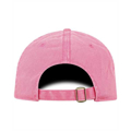 Picture of Adult Park Cap