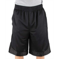 Picture of Adult Mesh Shorts