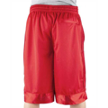 Picture of Adult Mesh Shorts