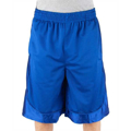 Picture of Adult Mesh Shorts