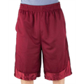 Picture of Adult Mesh Shorts