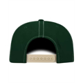 Picture of Adult Springlake Cap