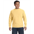 Picture of Adult Crewneck Sweatshirt