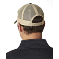 Picture of Distressed Ollie Cap