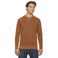 Picture of Men's French Terry Crew