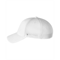 Picture of Adult Frostbit Cap