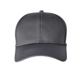 Picture of Adult Frostbit Cap