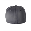 Picture of Adult Frostbit Cap