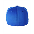Picture of Adult Frostbit Cap