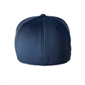 Picture of Adult Frostbit Cap