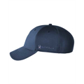 Picture of Adult Frostbit Cap