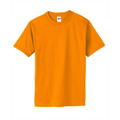 Picture of Ladies' T-Shirt