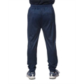 Picture of Unisex Heather Perfomance Jogger Pant