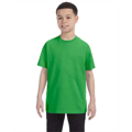 Picture of Youth 6.1 oz. Tagless® T-Shirt