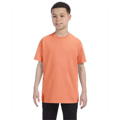 Picture of Youth 6.1 oz. Tagless® T-Shirt