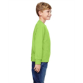 Picture of Youth 5 oz. HD Cotton™ Long-Sleeve T-Shirt