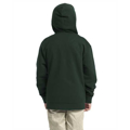 Picture of Youth Zip Hoody