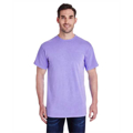 Picture of Collegiate Cotton T-Shirt