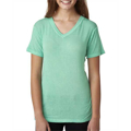 Picture of Ladies' Oasis Wash V-Neck T-Shirt