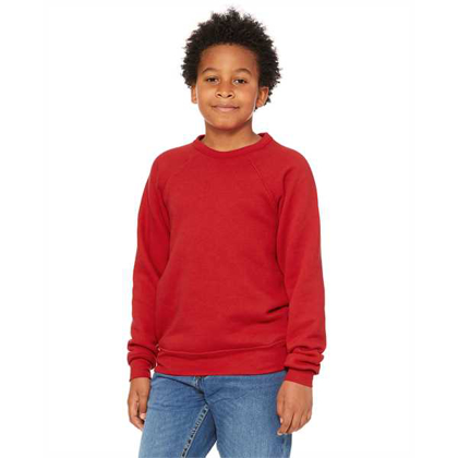 Picture of Youth Sponge Fleece Raglan Sweatshirt