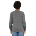 Picture of Youth Sponge Fleece Raglan Sweatshirt